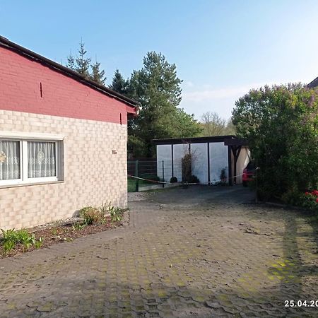 Ferienwohnung Reepschlaeger Papendorf  Exteriör bild